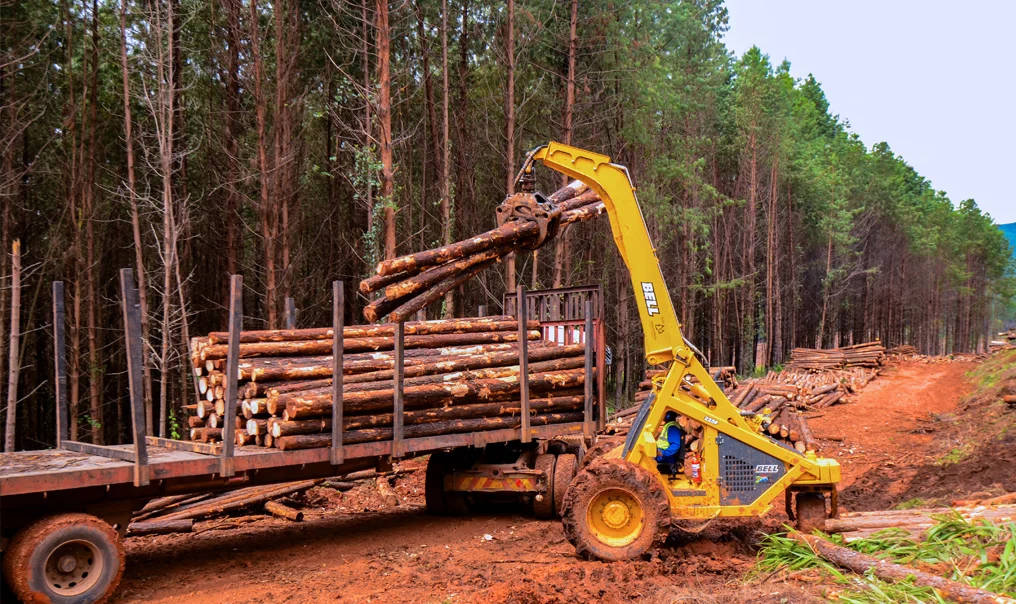 Bell provides ideal forestry solutions for Dendatron