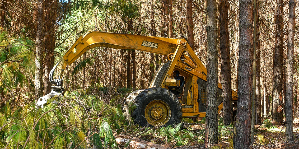 Cousins succeed at contract harvesting with Bell forestry fleet