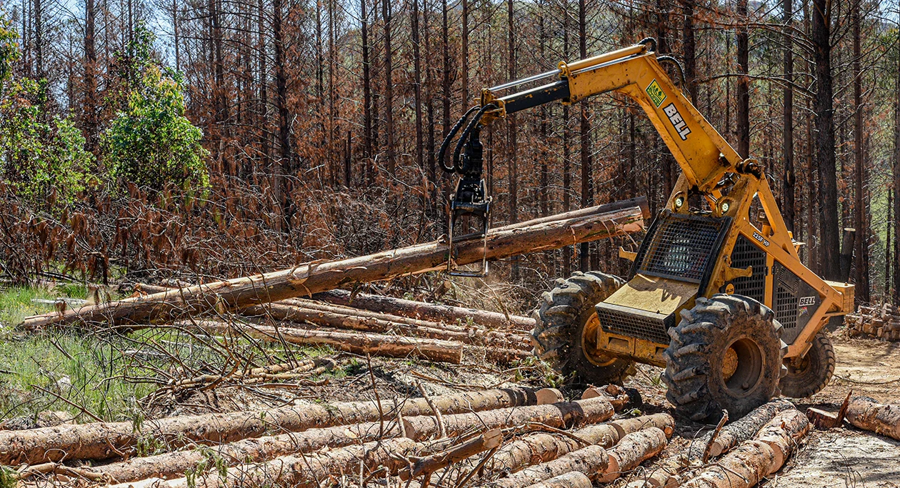 Kobelco Excavators and Bell Loggers drive mechanisation at GDH Harvesting
