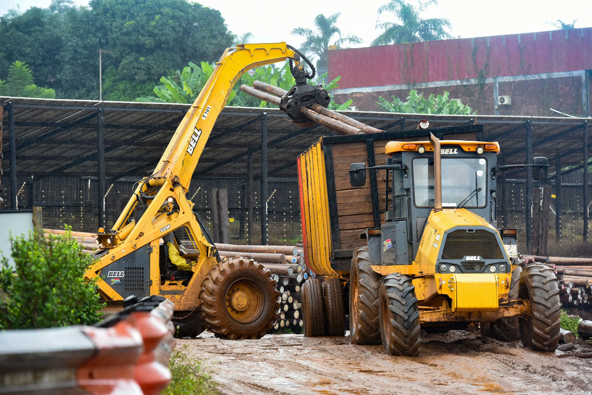 Bell Loggers are the backbone of Khulani Timbers’ operation